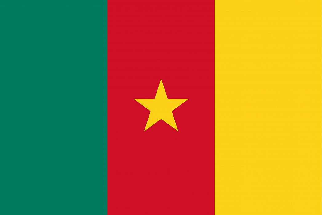 Flag of Cameroon