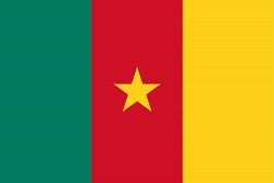 Flag of Cameroon