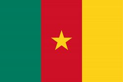 Flag of Cameroon