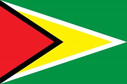 Flag of Guyana