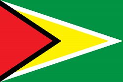 Flag of Guyana